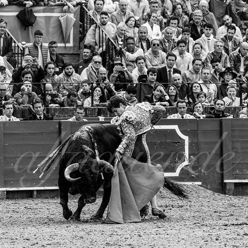 20220503 sevilla 014