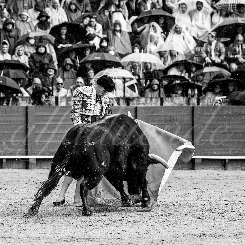 20220503 sevilla 016