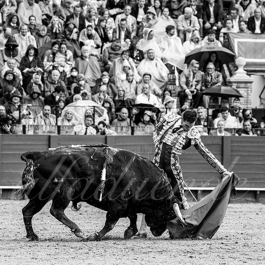 20220503 sevilla 017