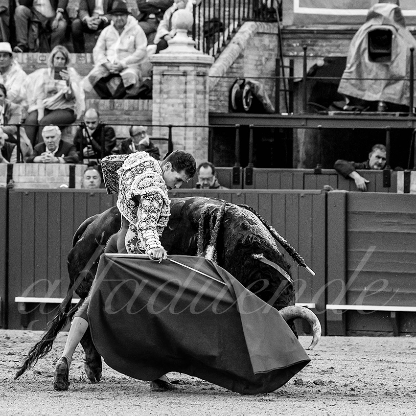 20220503 sevilla 019