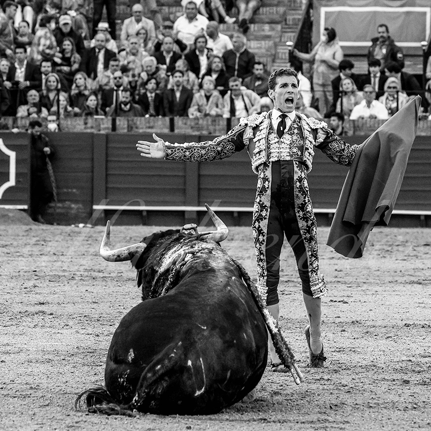 20220503 sevilla 021