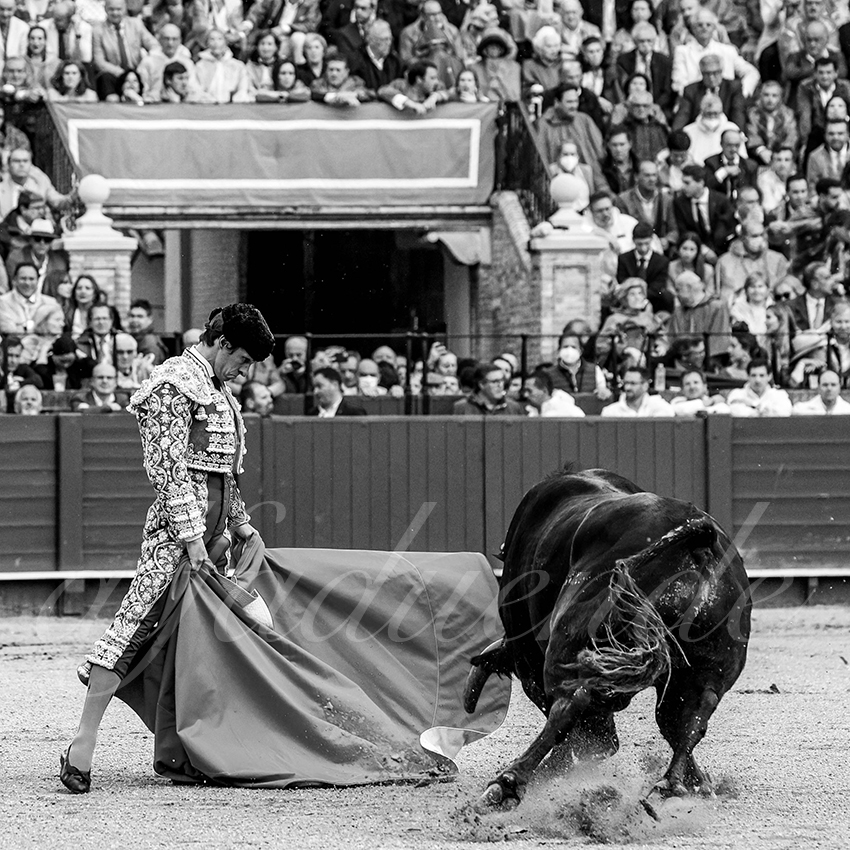 20220504 sevilla 005