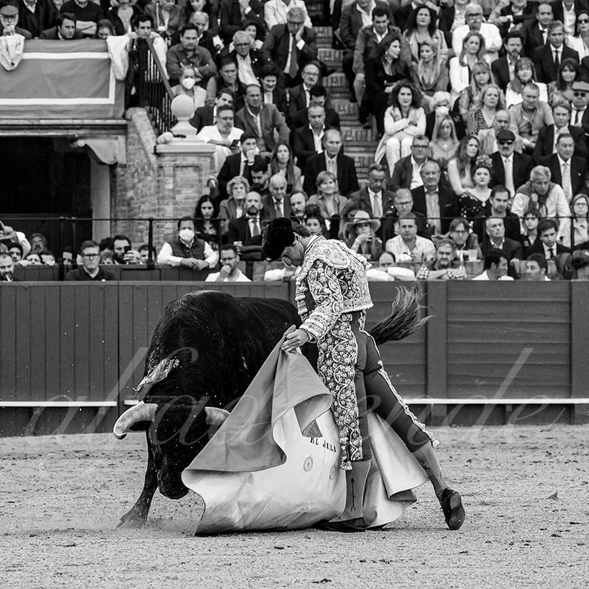 20220504 sevilla 006