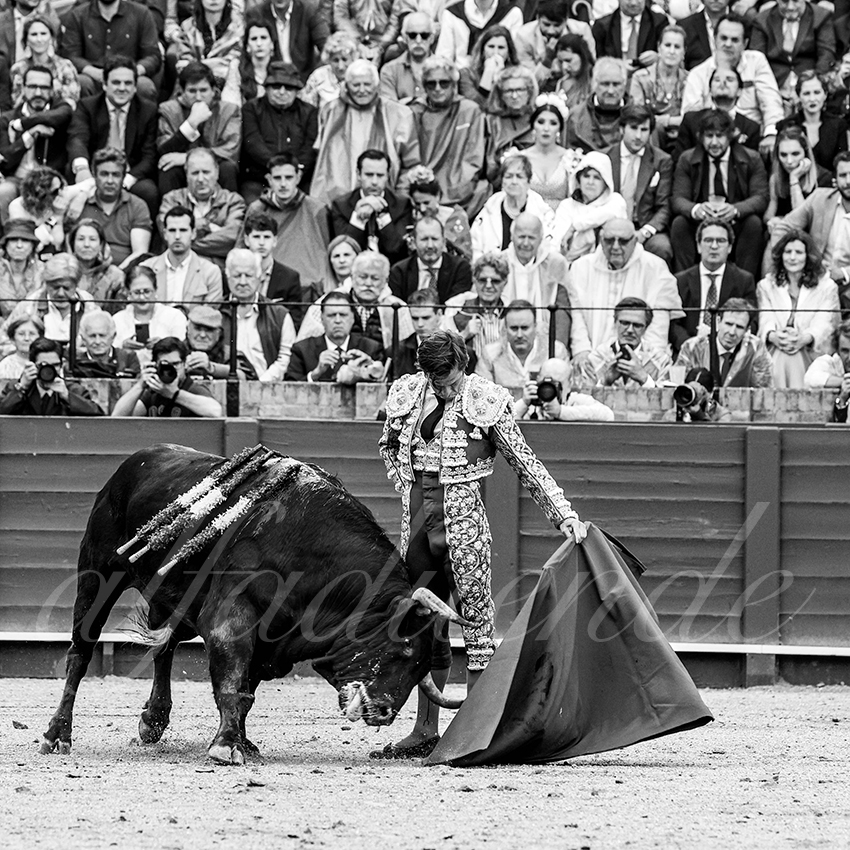 20220504 sevilla 007