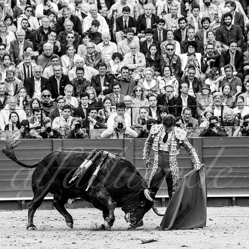 20220504 sevilla 008