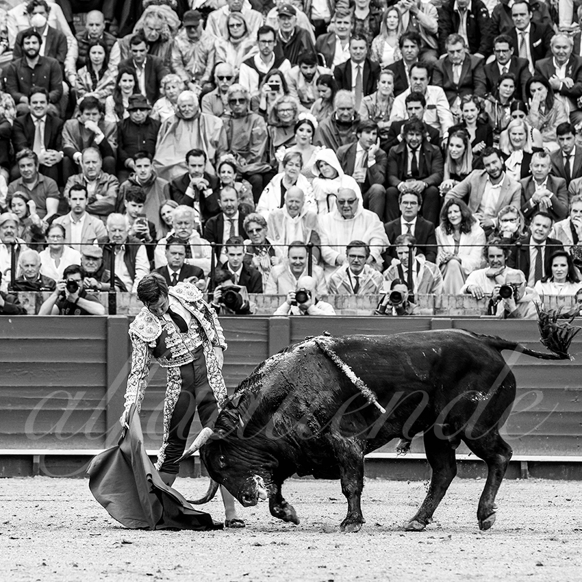 20220504 sevilla 009