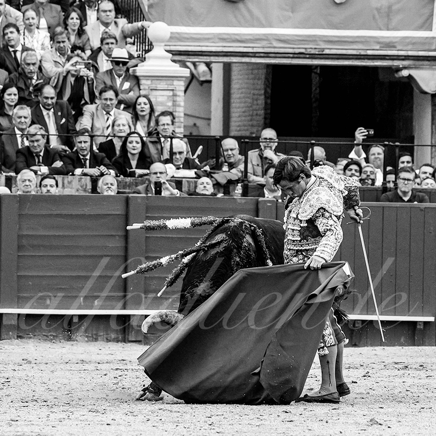 20220504 sevilla 011