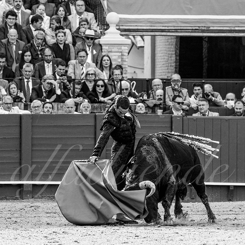 20220504 sevilla 014