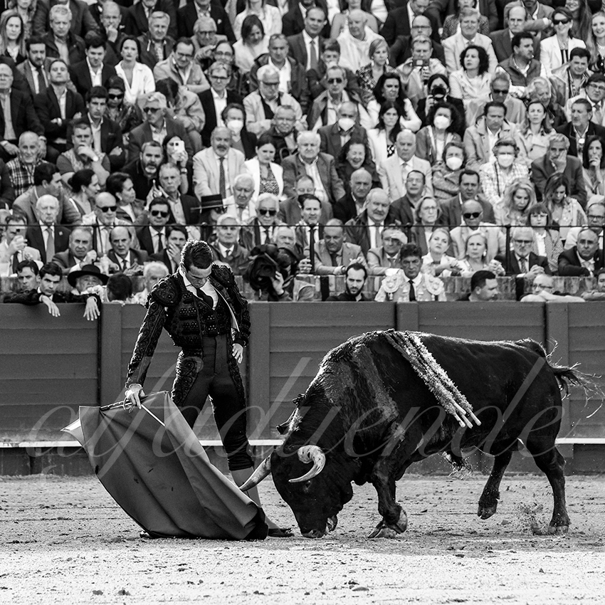 20220504 sevilla 015