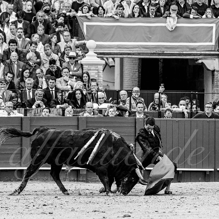 20220504 sevilla 016