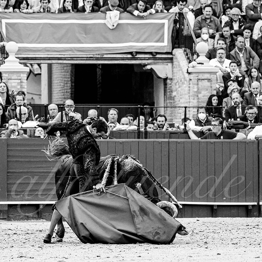 20220504 sevilla 017