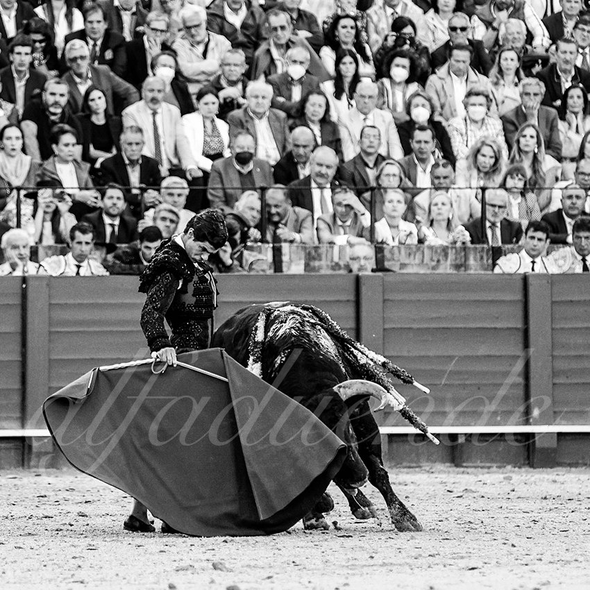 20220504 sevilla 019