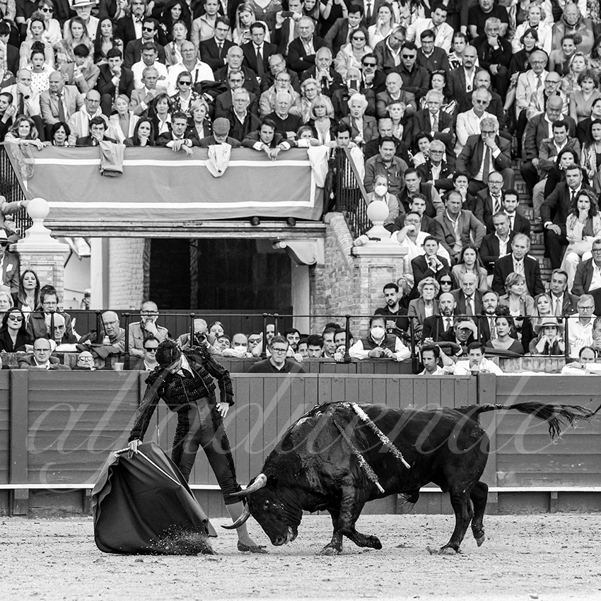 20220504 sevilla 020