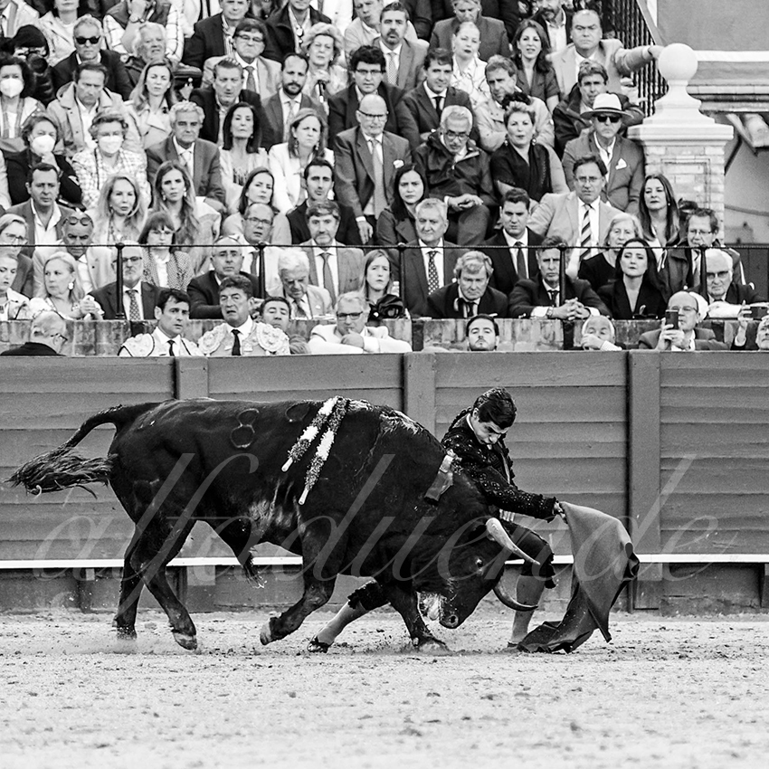 20220504 sevilla 021