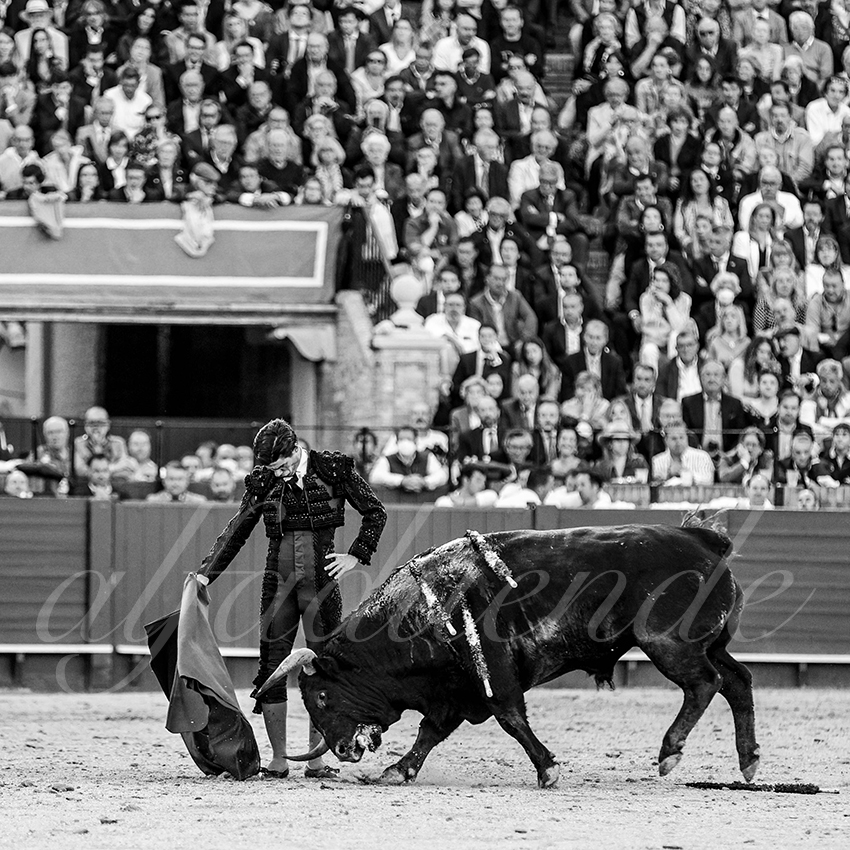 20220504 sevilla 022