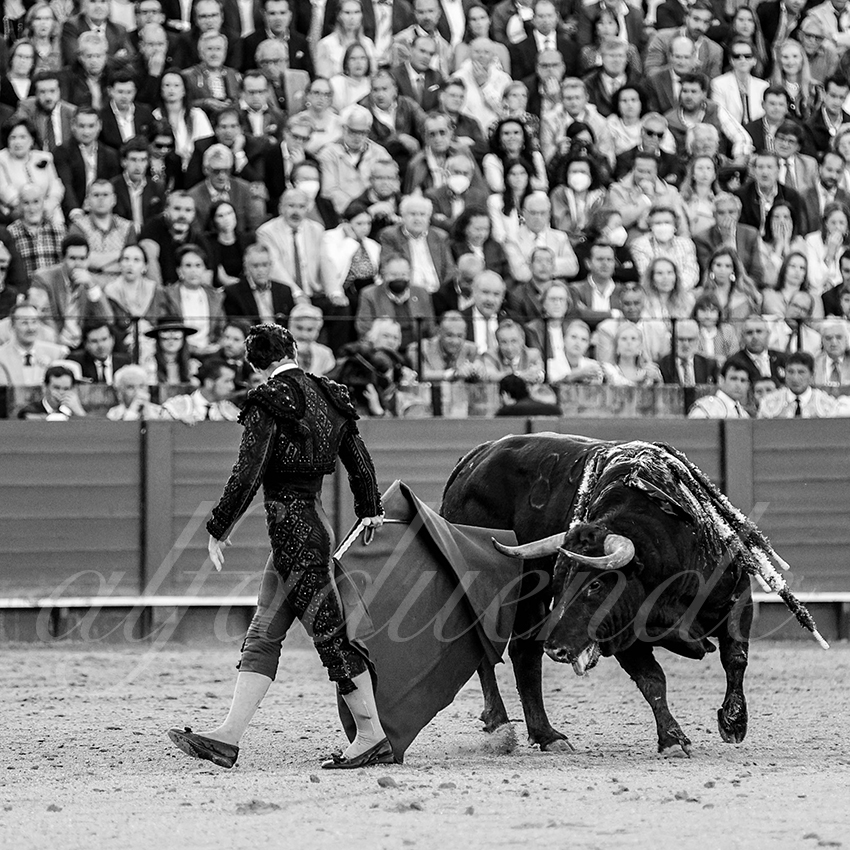 20220504 sevilla 023