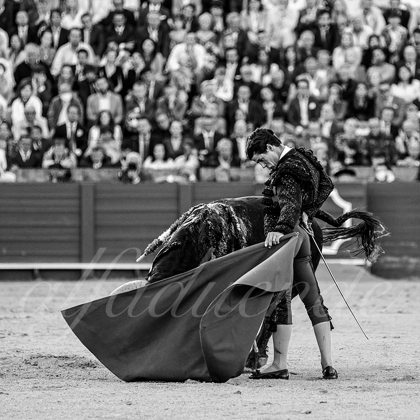 20220504 sevilla 024