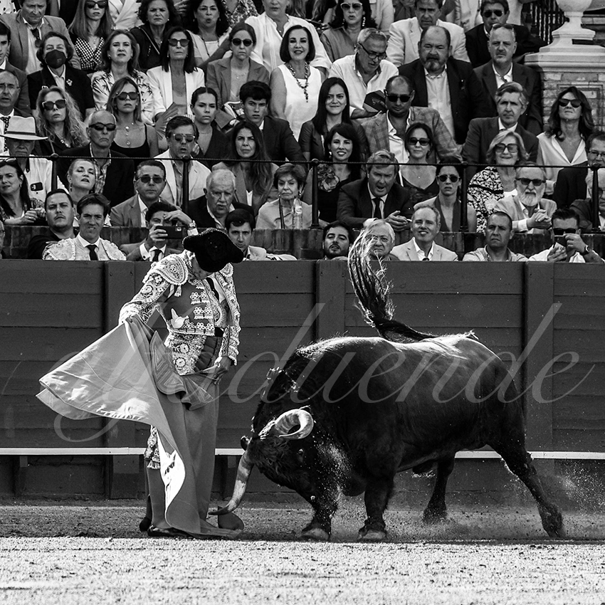 20220506 sevilla 004