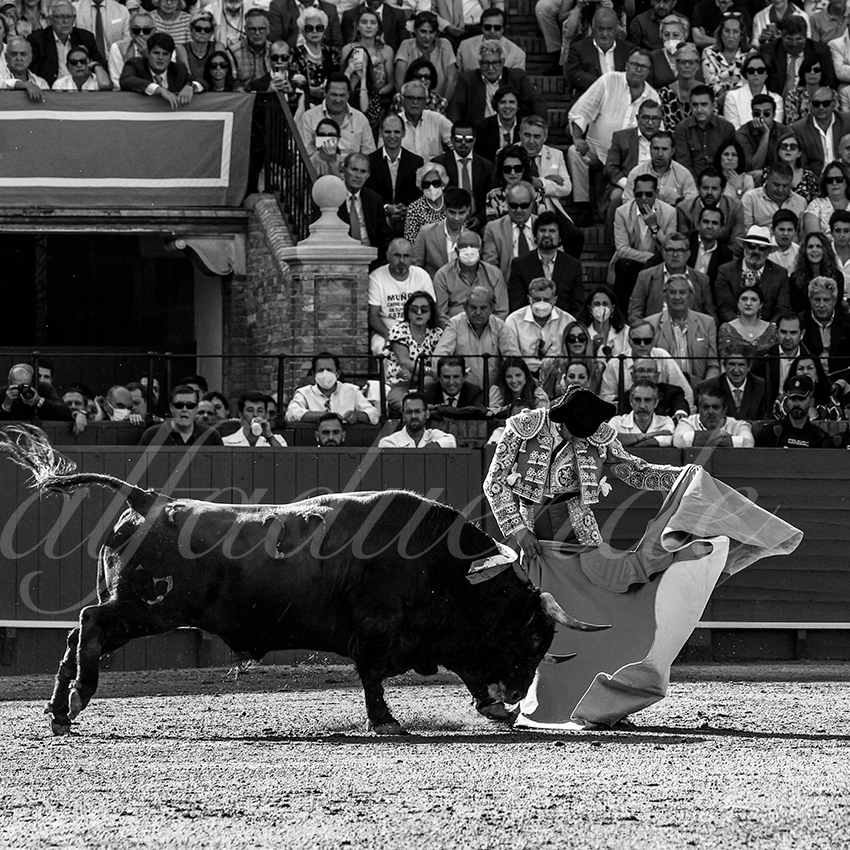 20220506 sevilla 005