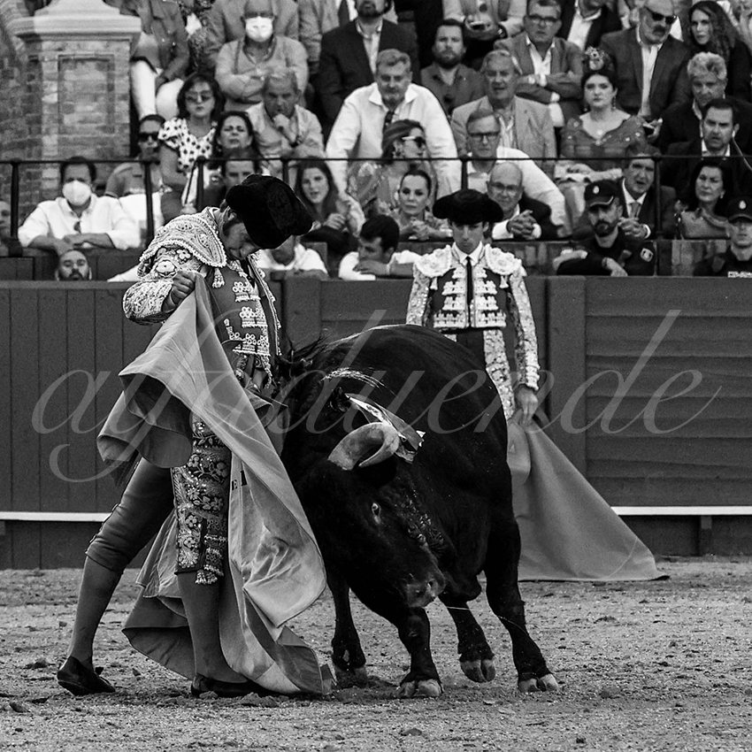 20220506 sevilla 007