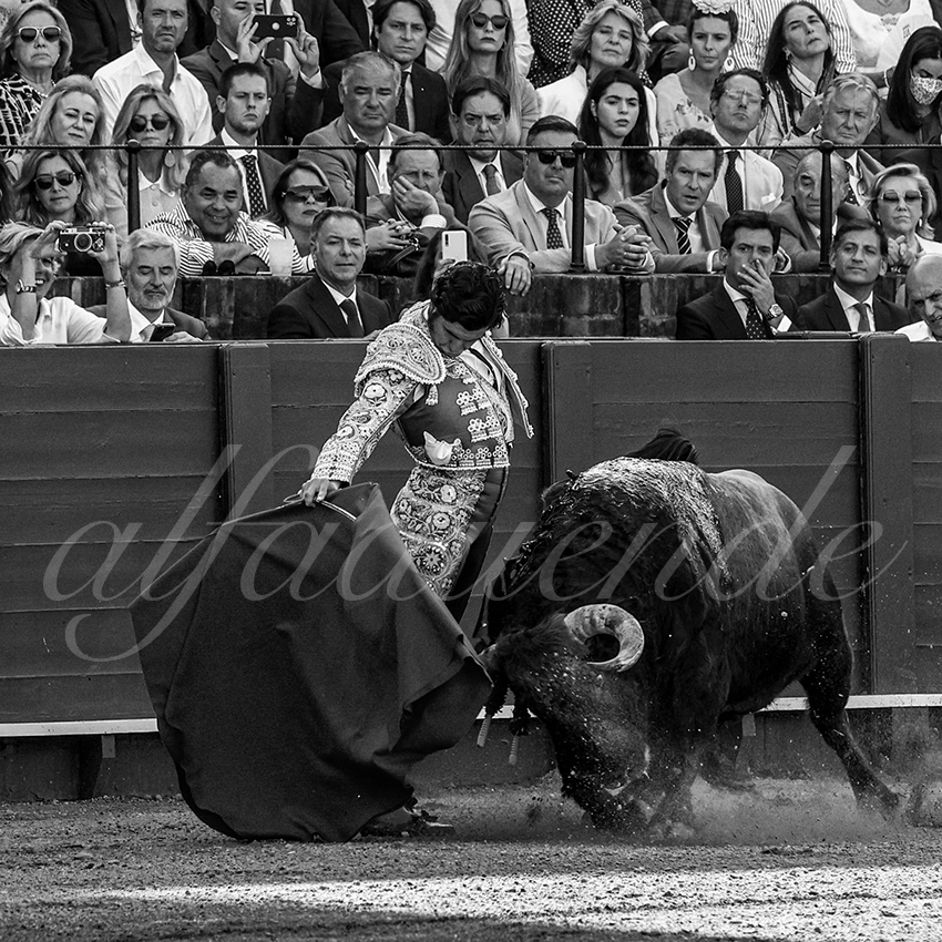 20220506 sevilla 008