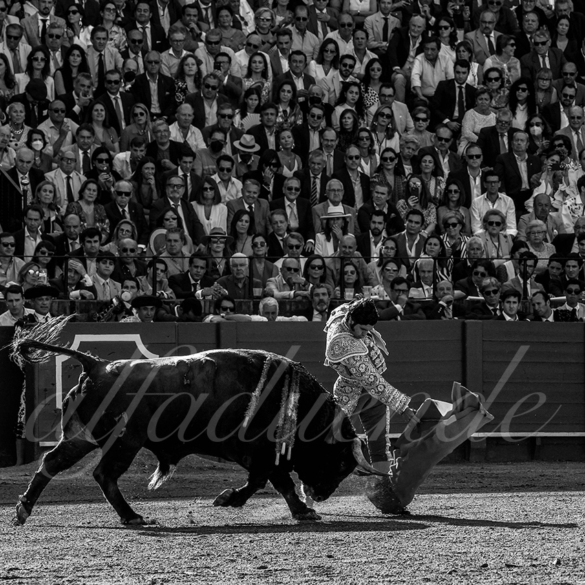 20220506 sevilla 009