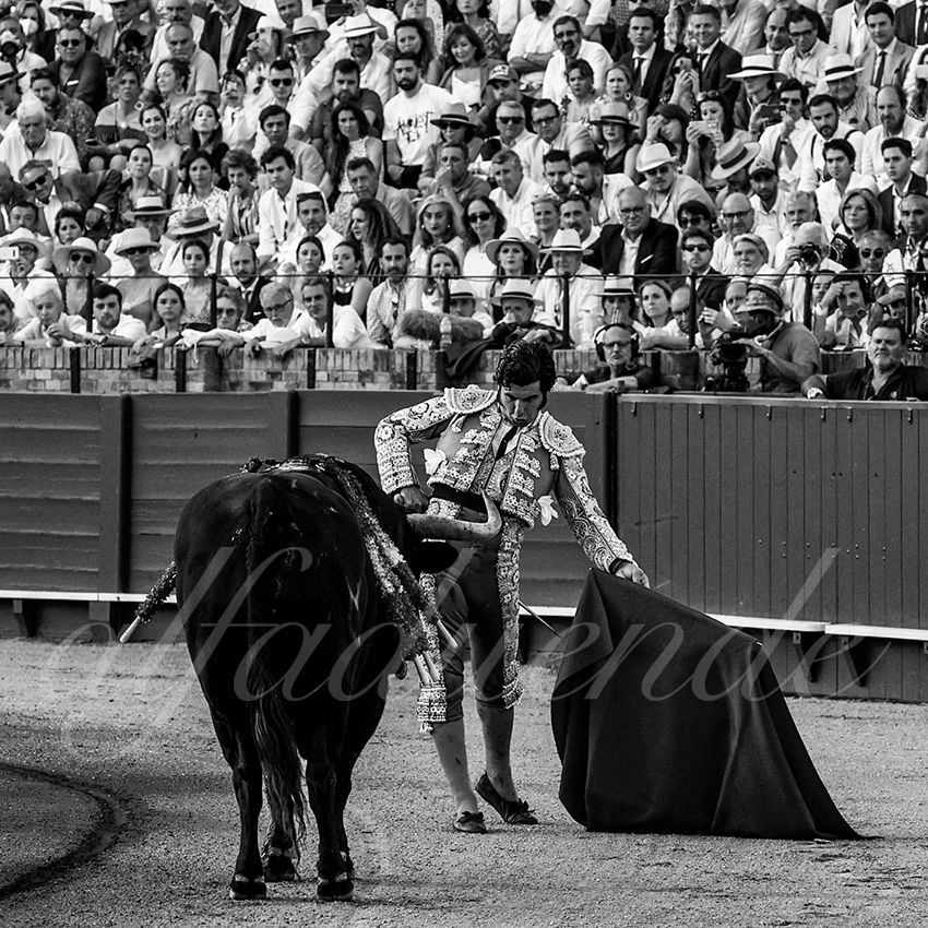 20220506 sevilla 012