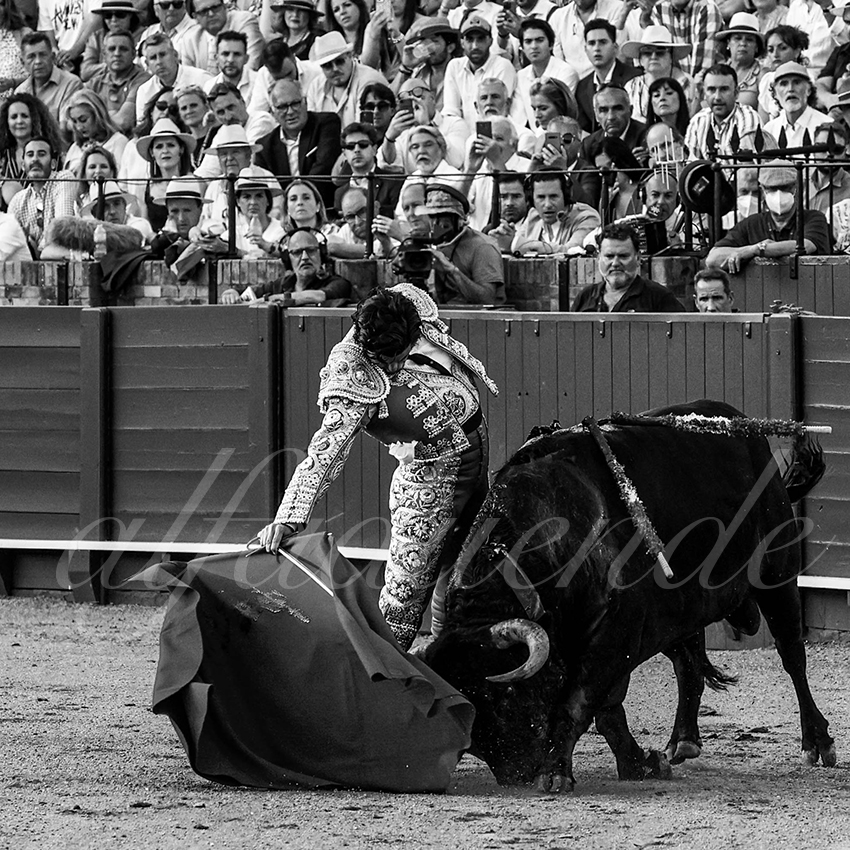 20220506 sevilla 013