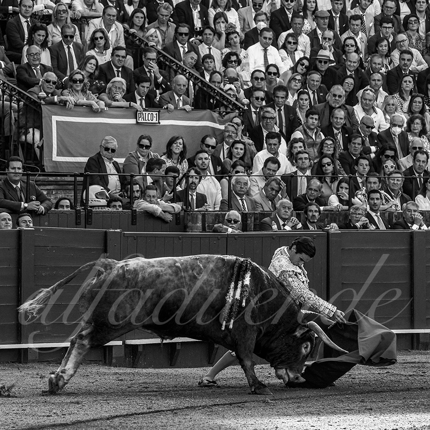 20220506 sevilla 016