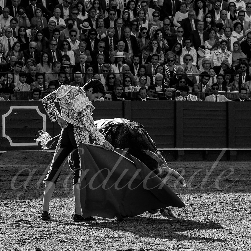 20220506 sevilla 017