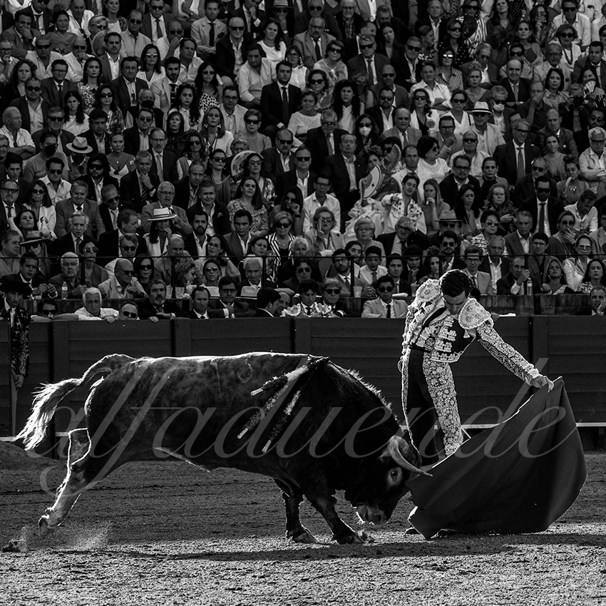 20220506 sevilla 019