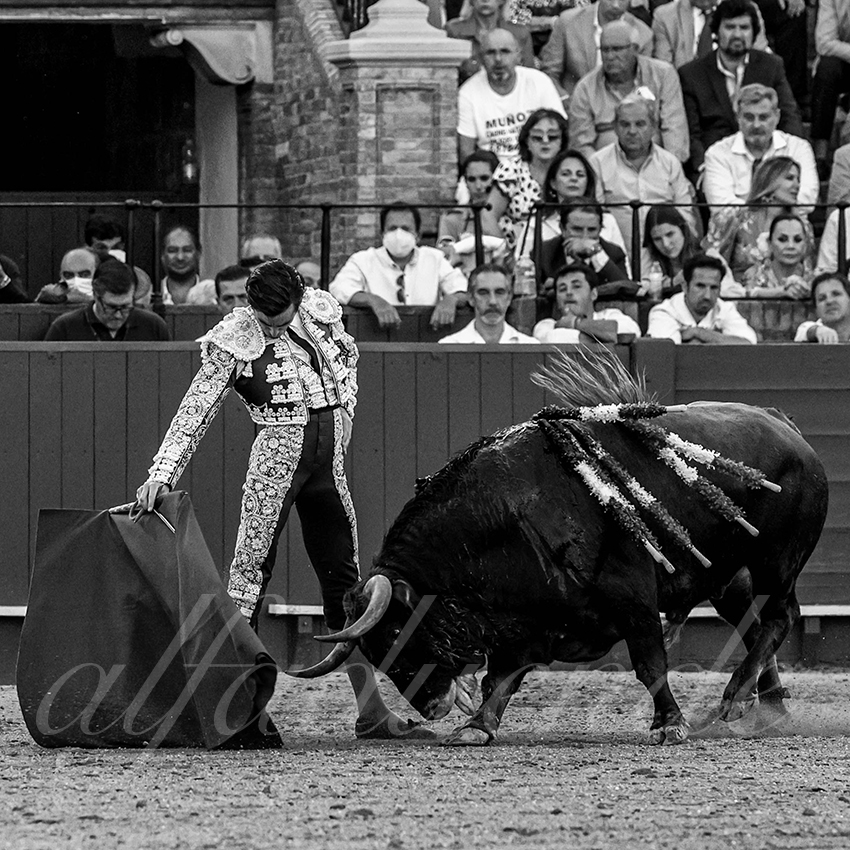 20220506 sevilla 021