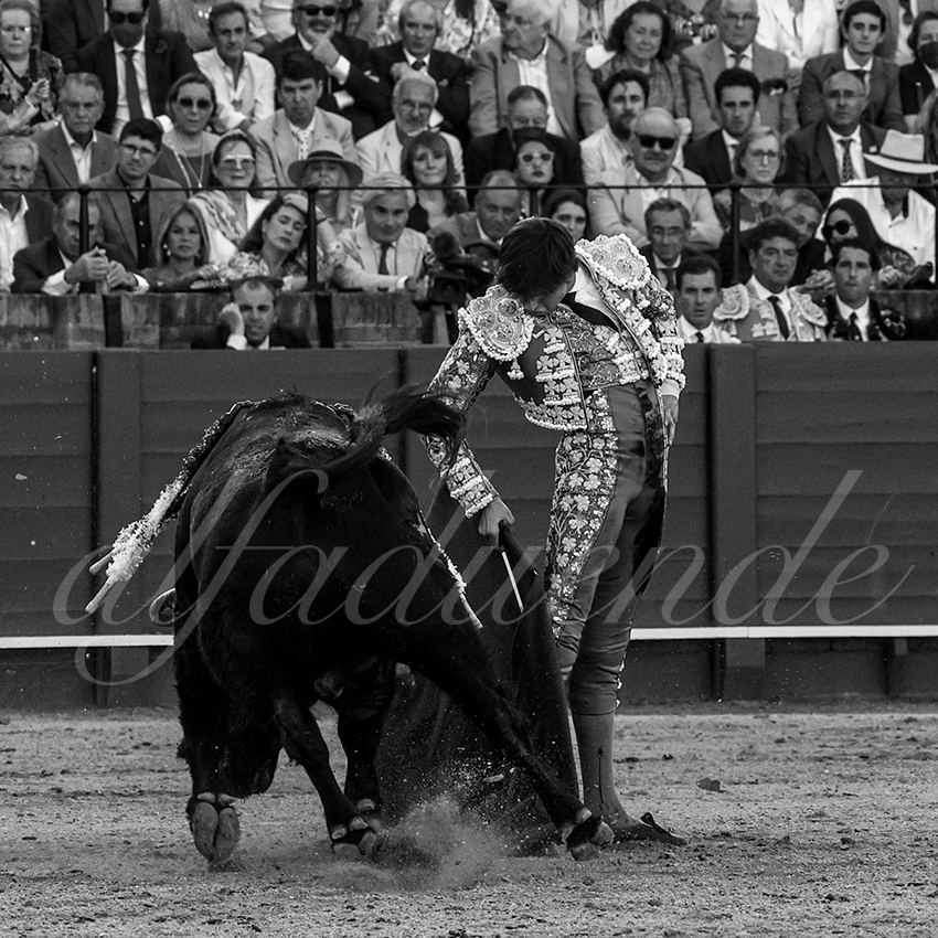 20220506 sevilla 025