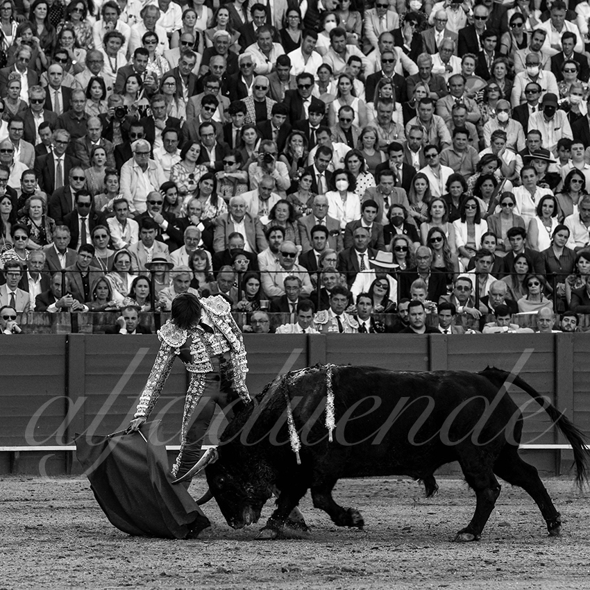 20220506 sevilla 027