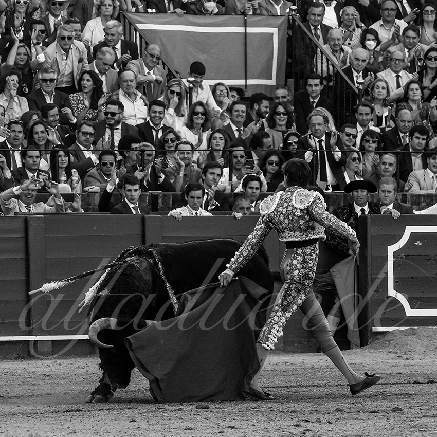 20220506 sevilla 028