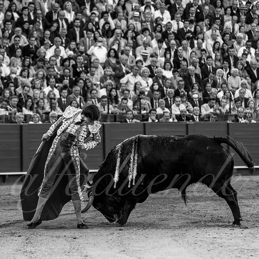 20220506 sevilla 029