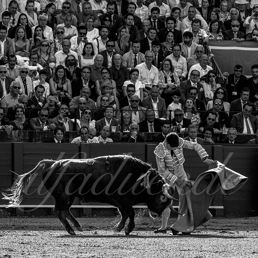 20220507 sevilla 004