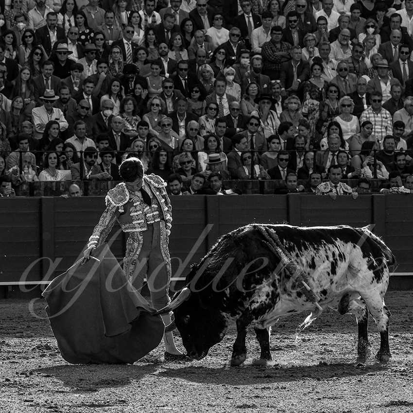 20220507 sevilla 005