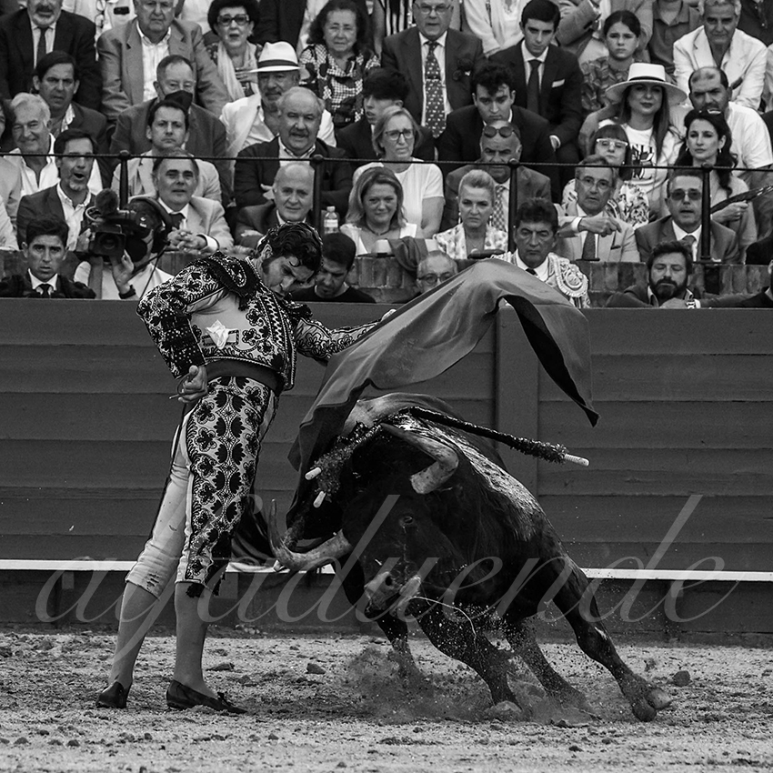 20220507 sevilla 007