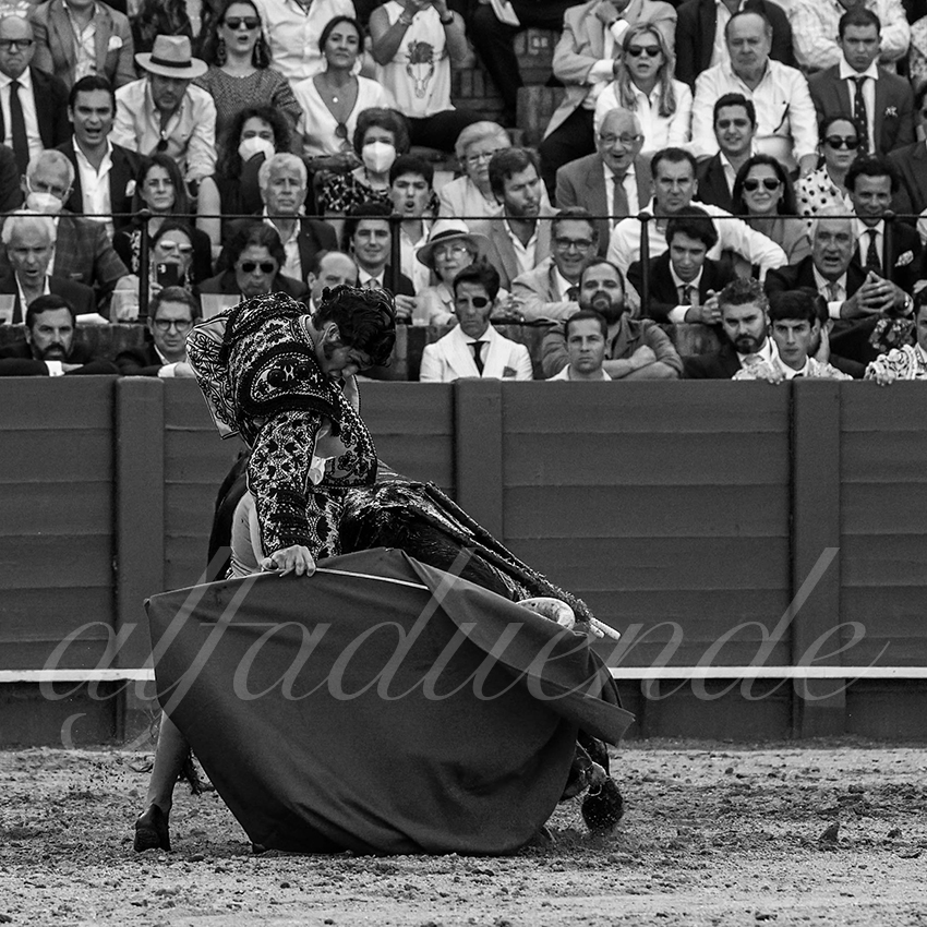 20220507 sevilla 008