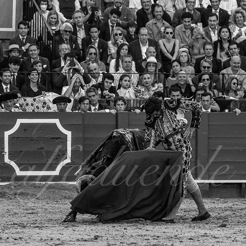 20220507 sevilla 009