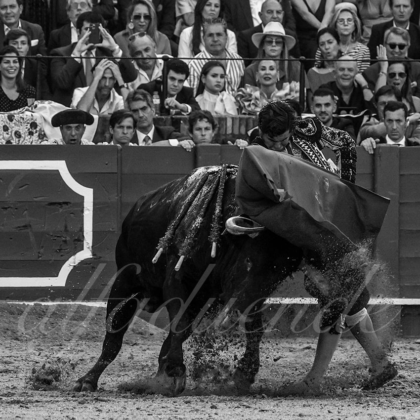 20220507 sevilla 010