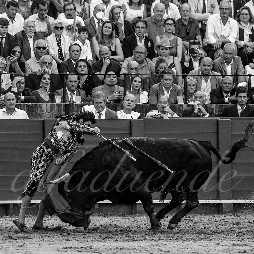 20220507 sevilla 012