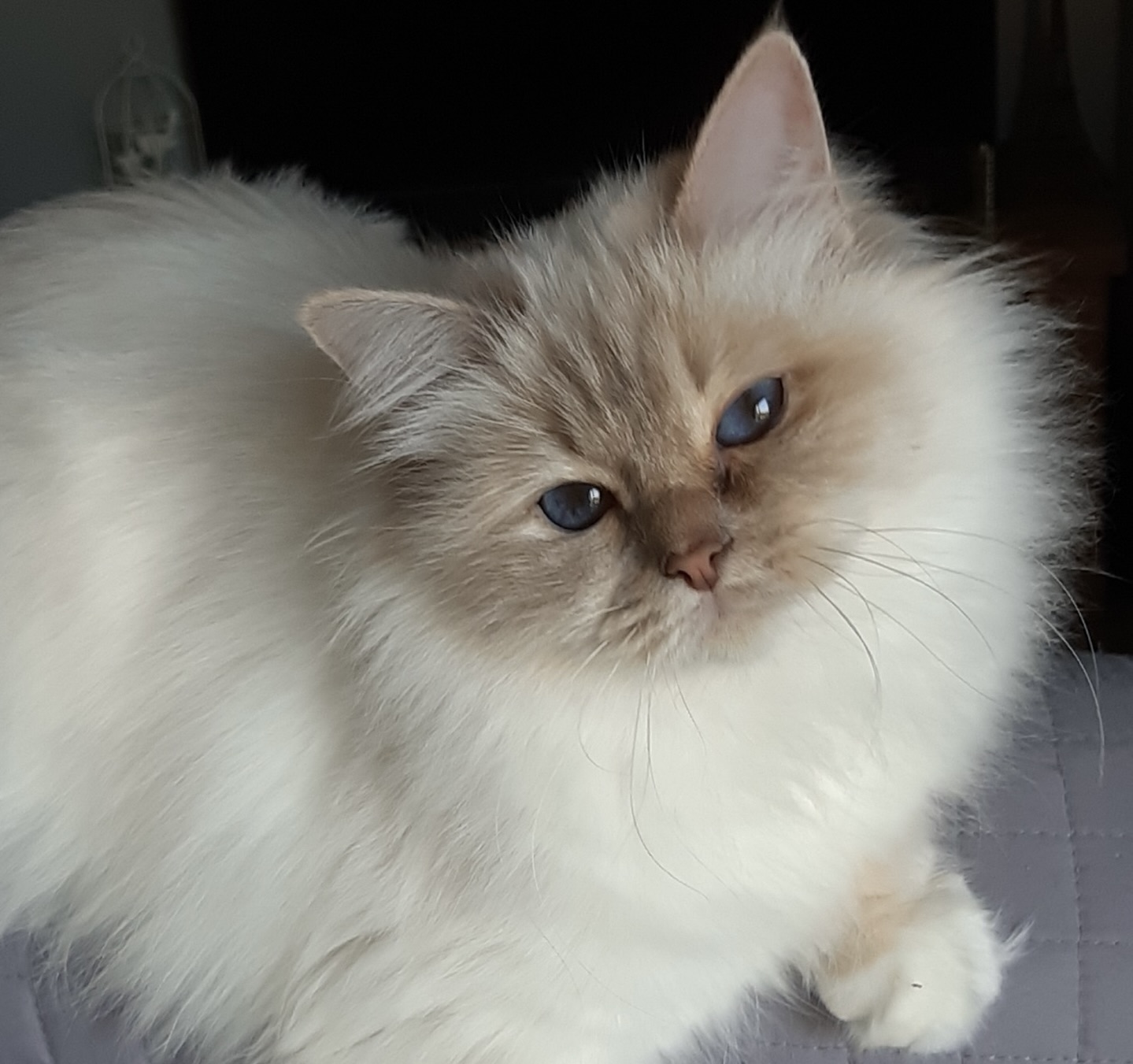 318852434 5654341127981414 6671900774804831766 n