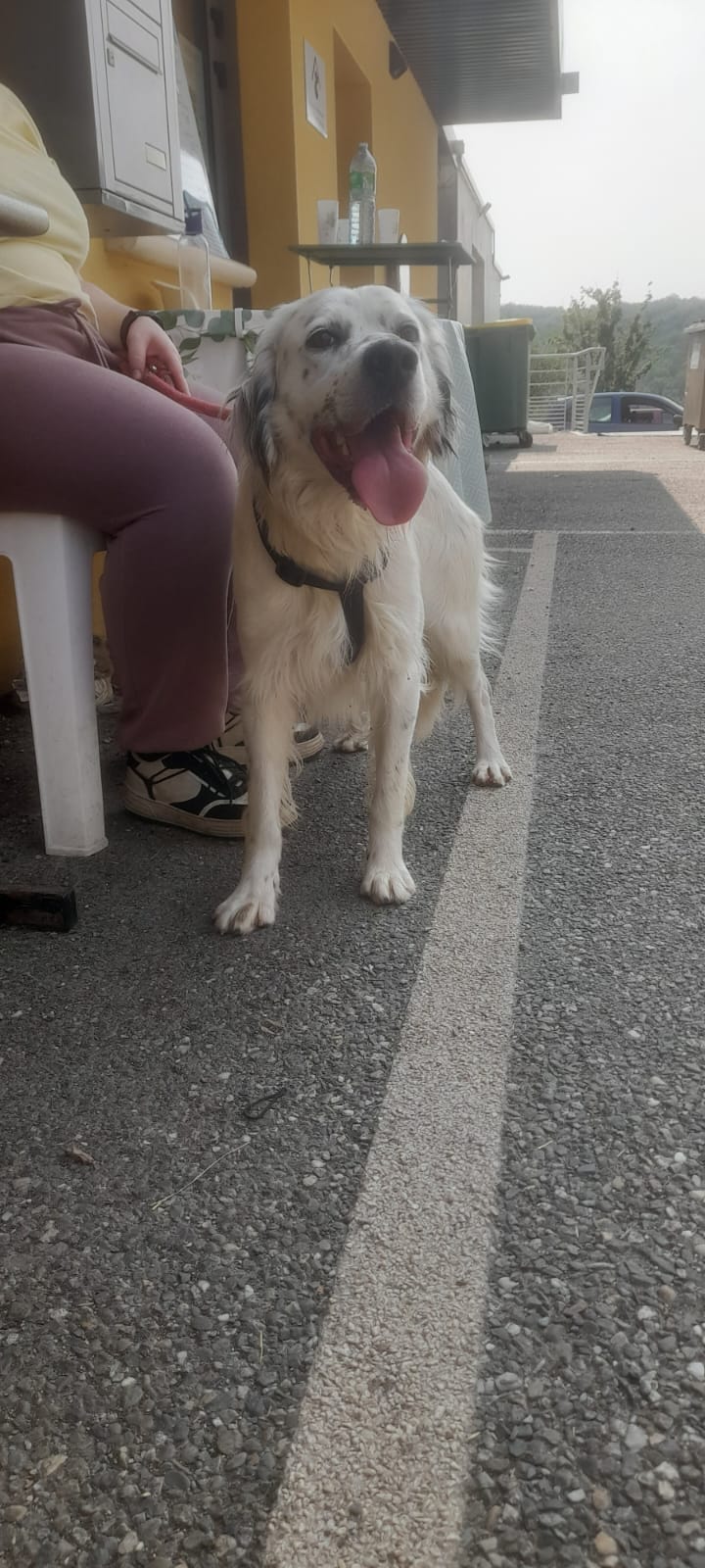 Whatsapp image 2025 06 10 at 08 10 31