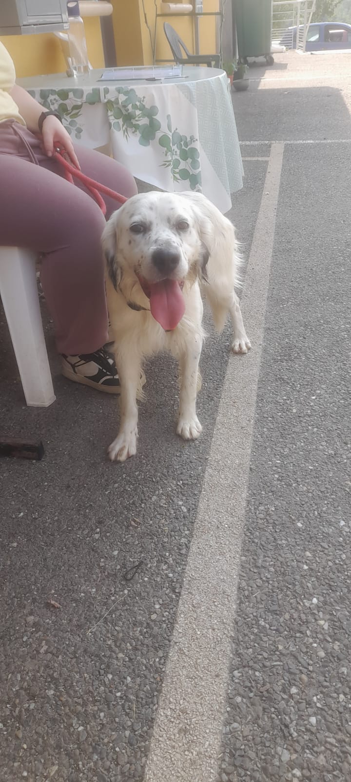 Whatsapp image 2025 06 10 at 08 10 30