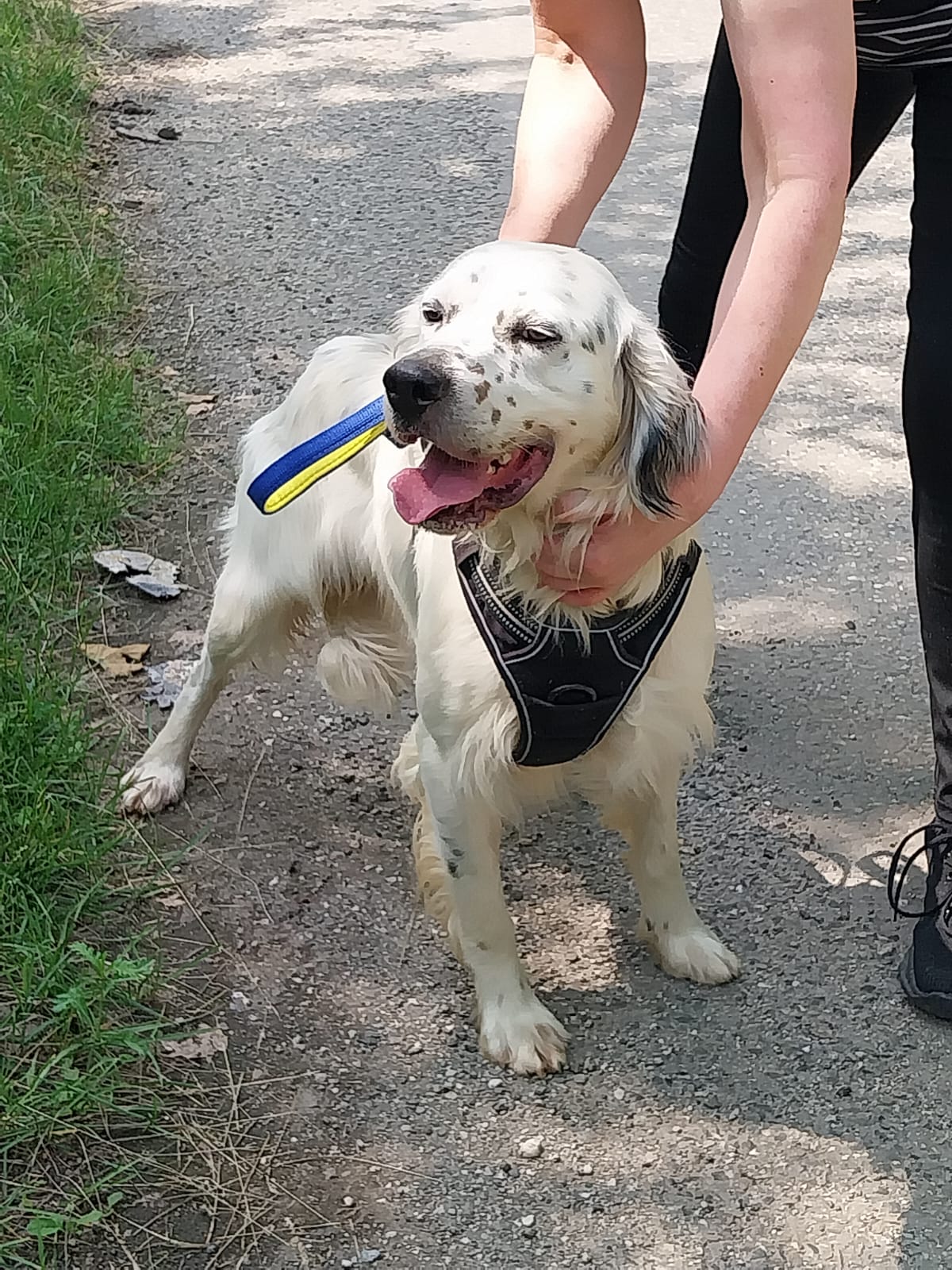 Whatsapp image 2025 06 09 at 17 30 01