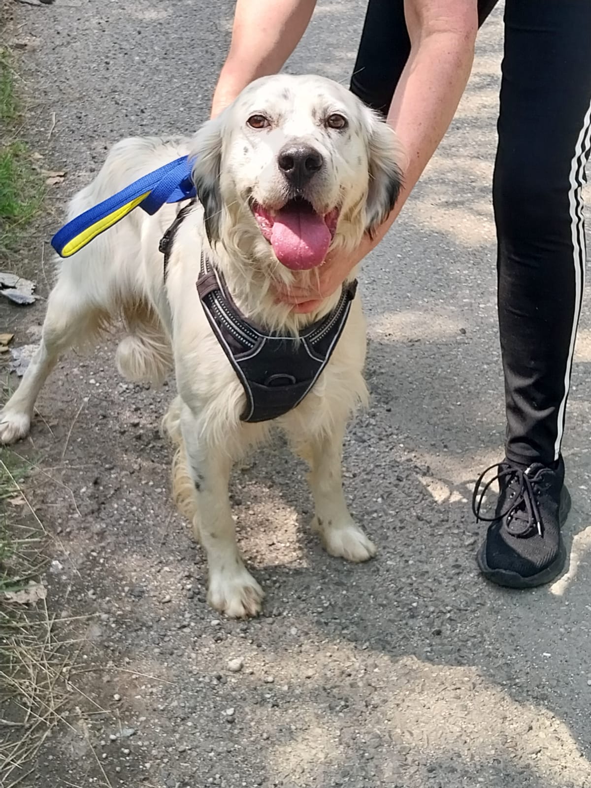 Whatsapp image 2025 06 09 at 17 30 00