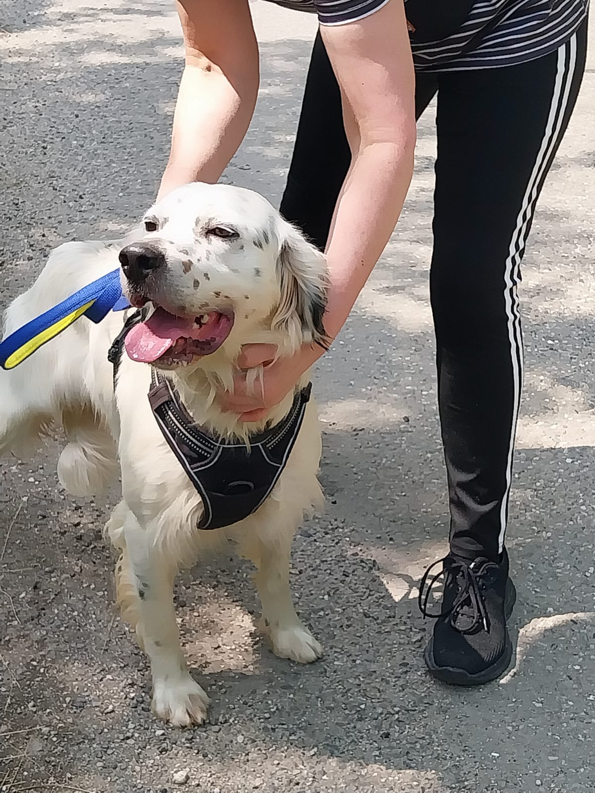 Whatsapp image 2025 06 09 at 17 29 59