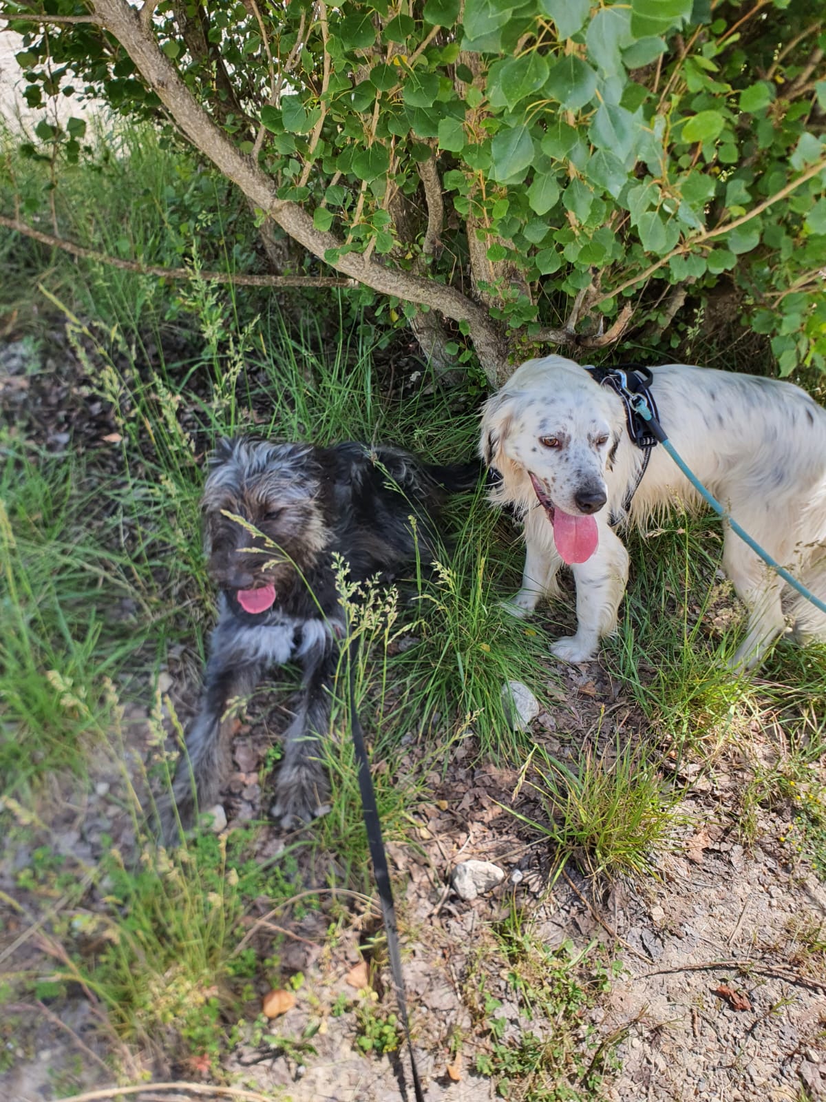 Whatsapp image 2025 05 28 at 16 12 00